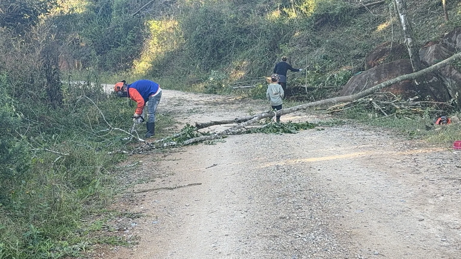 Primeiros trabalhos de limpeza